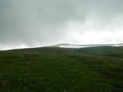 Вблизи к вершине г. Абадзеш, Нагорье Лаго-Наки, фото июль 2018 г.