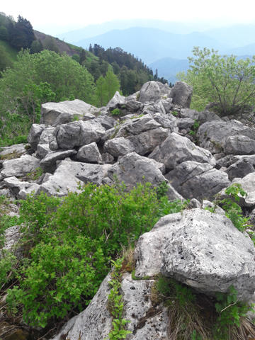 Курум у склона хр. Каменное море, нагорье Лаго-Наки, 2020г.