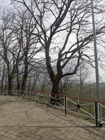 Площадка на вершине г. Физиабго, фото май 2019 г.